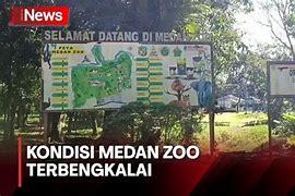 Berita Medan Zoo